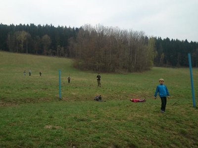 Obrázek 100365 