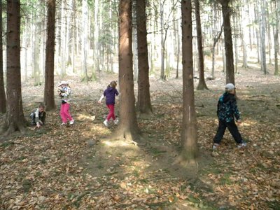 Obrázek 100264 