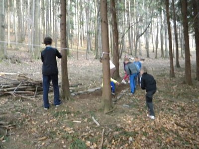 Obrázek 100275 