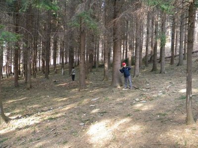 Obrázek 100283 