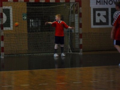 Obrázek 100084 