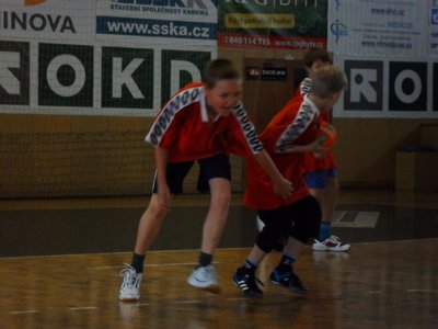 Obrázek 100085 