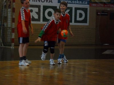 Obrázek 100086 