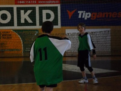 Obrázek 100090 