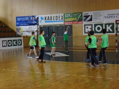 Obrázek 100091 