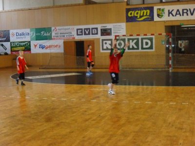 Obrázek 100093 