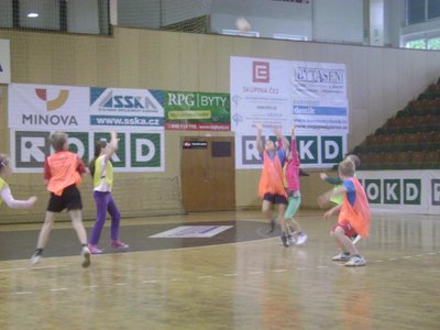 Obrázek 99547 