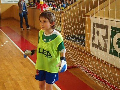 Obrázek 99566 