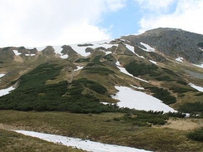 Obrázek 99530 