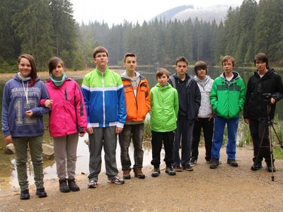 Obrázek 99498 