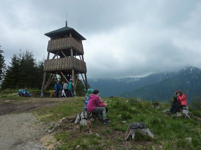 Obrázek 99387 