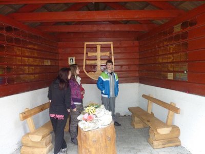 Obrázek 99391 