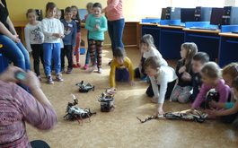 Titulní obrázek k příspěvku Líbili se nám ti roboti!