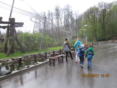 Obrázek 444 