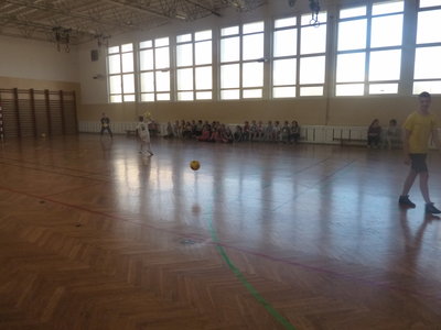 Obrázek 233 