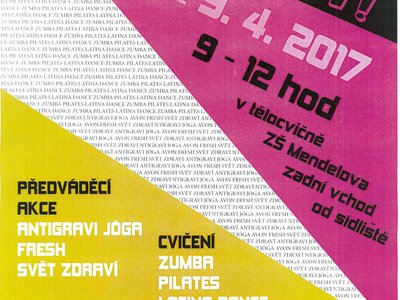 Obrázek 260 