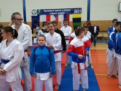 Obrázek 597 