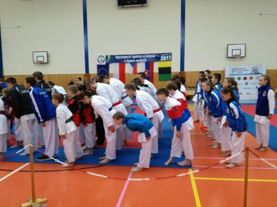 Obrázek 599 