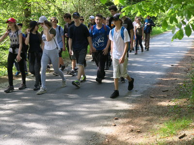 Obrázek 705 