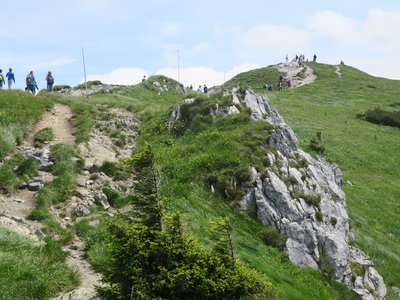 Obrázek 1256 
