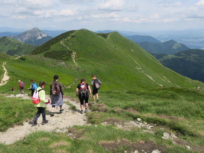 Obrázek 1264 