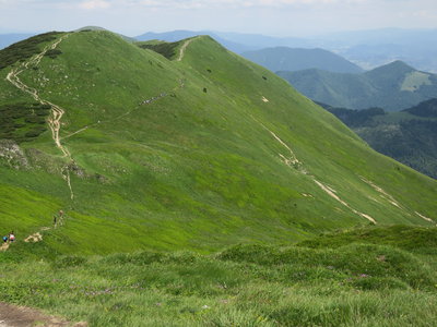 Obrázek 1263 