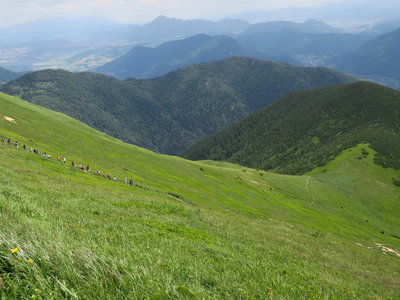 Obrázek 1265 