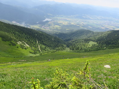 Obrázek 1289 