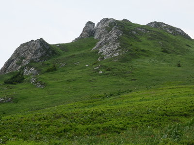 Obrázek 1277 