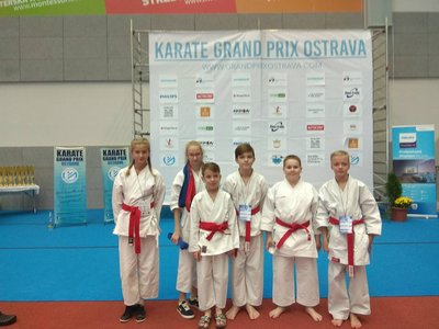 Obrázek 2264 