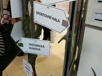 Obrázek 2277 