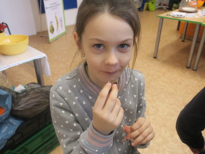 Obrázek 2473 