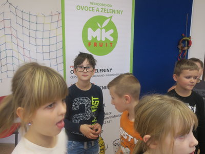 Obrázek 2484 