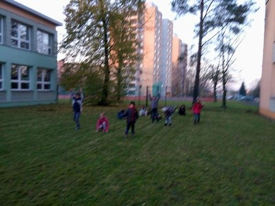 Obrázek 2562 