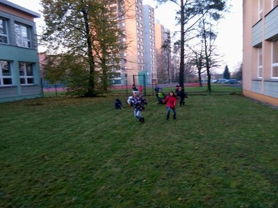 Obrázek 2565 