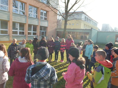 Obrázek 2684 