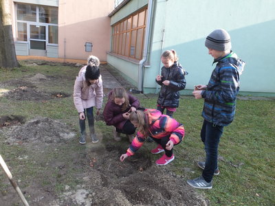 Obrázek 2687 