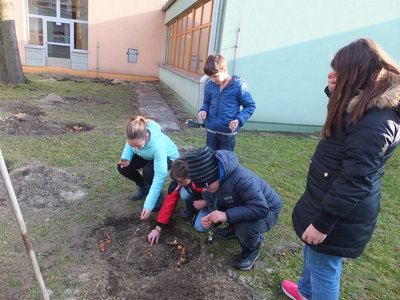 Obrázek 2691 