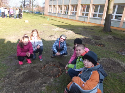 Obrázek 2685 