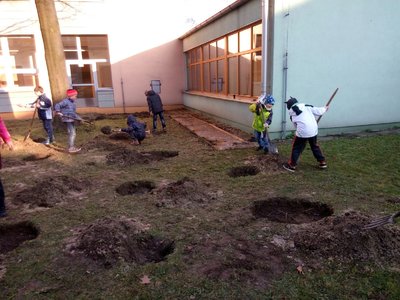 Obrázek 2692 