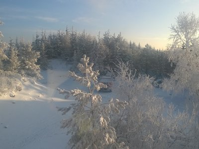 Obrázek 2927 