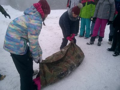 Obrázek 2977 