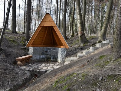 Obrázek 3002 