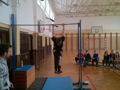Obrázek 3319 