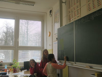 Obrázek 3565 
