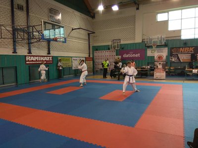 Obrázek 3604 