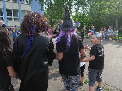 Obrázek 4085 