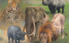 Titulní obrázek k příspěvku Africká zvířata
