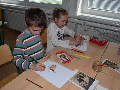 Obrázek 4237 