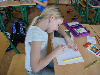 Obrázek 4238 
